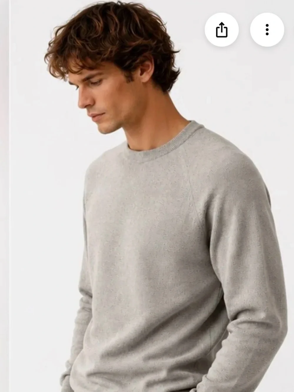 J. Crew Men’s Crewneck Sweater - Plum and Light Gray